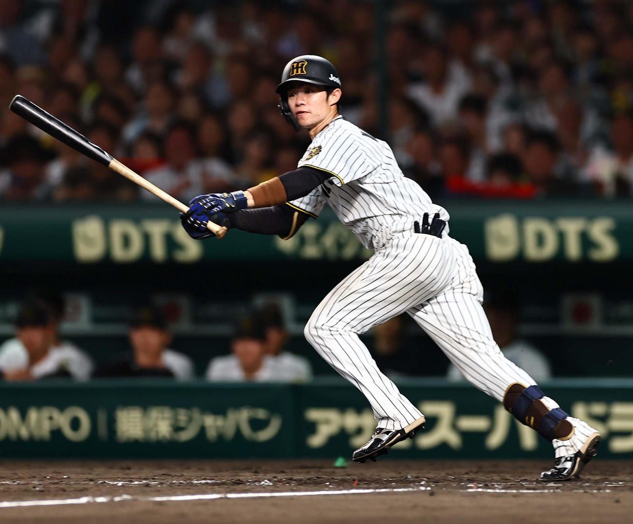 阪神対ソフトバンク　5回裏阪神無死一塁、中野は左前打を放つ（撮影・上田博志）