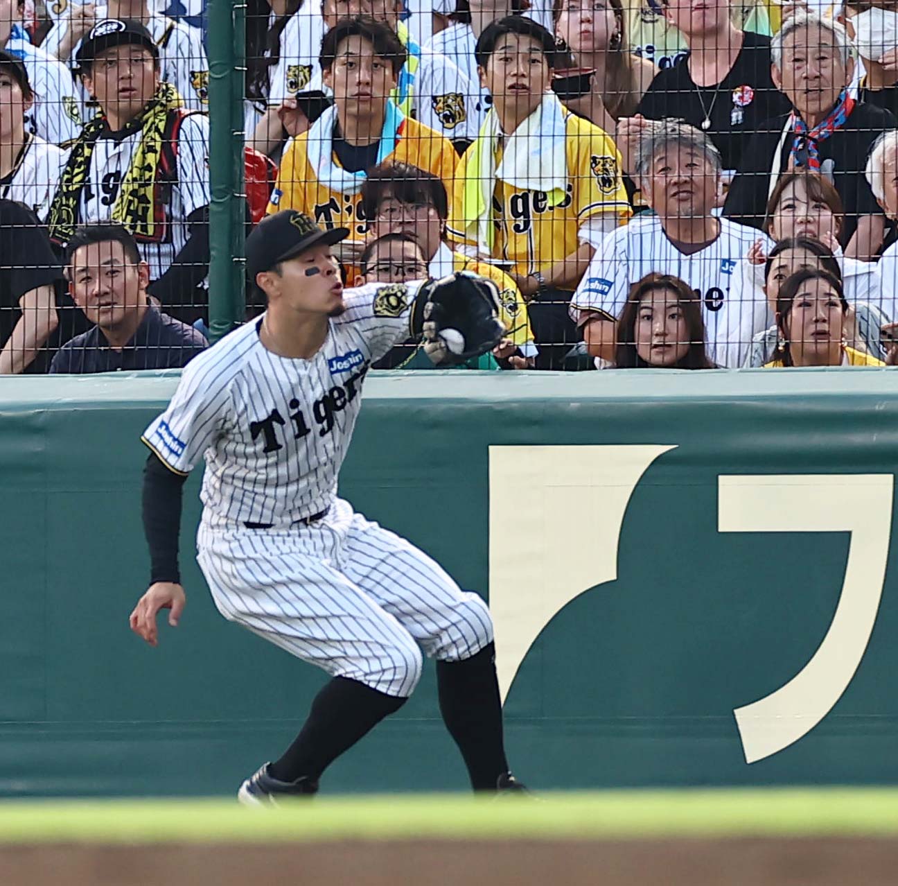 阪神対ソフトバンク　3回表ソフトバンク1死、佐藤輝は佐藤の右邪飛を好捕する（撮影・上田博志）