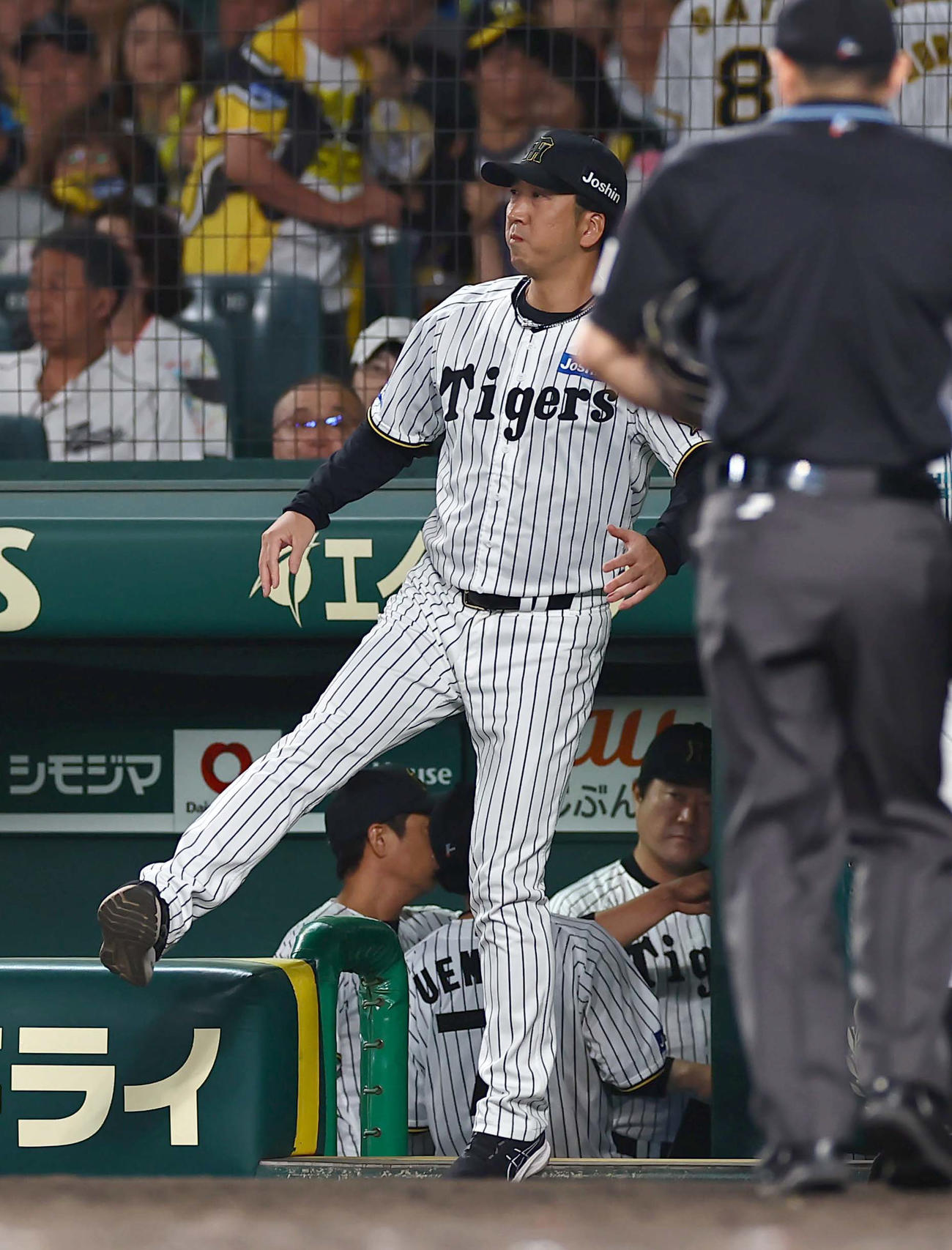阪神対ソフトバンク　選手交代を告げる藤川監督（撮影・上田博志）