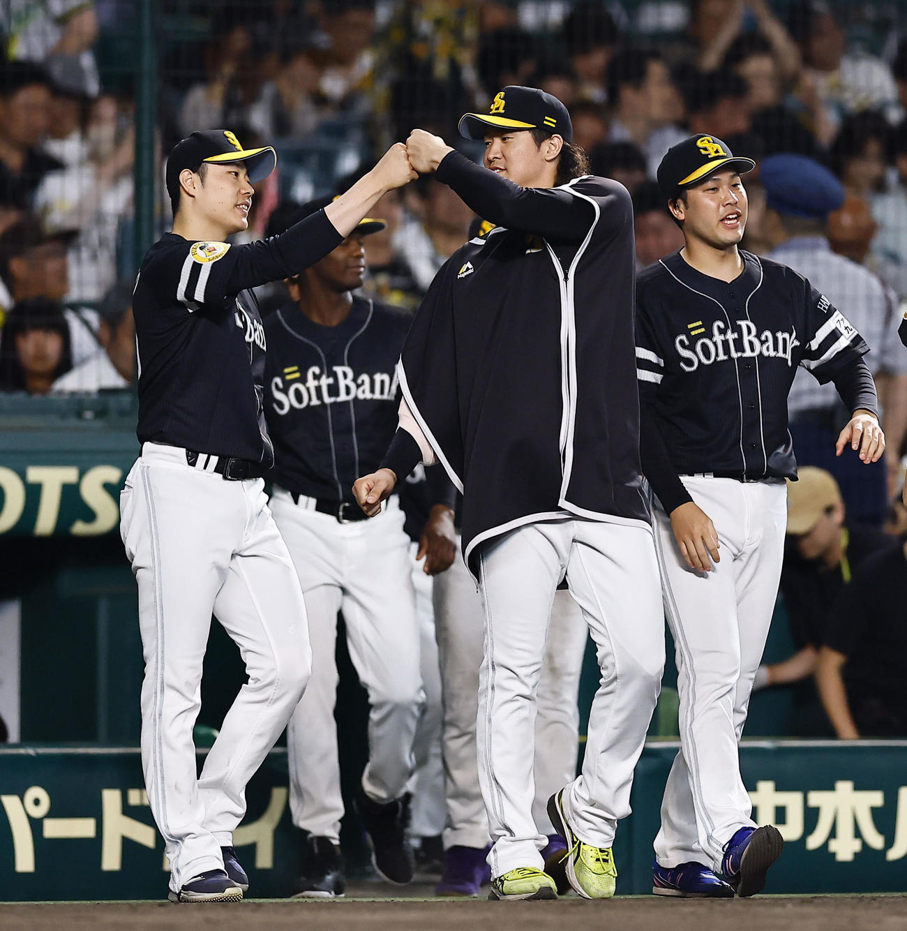 阪神対ソフトバンク　阪神に勝利し、タッチを交わすソフトバンク松本裕（左端）と杉山（撮影・藤尾明華）