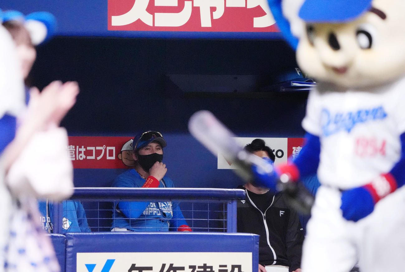 中日対日本ハム　3回終了、ベンチからドアラを見つめる新庄監督（撮影・森本幸一）