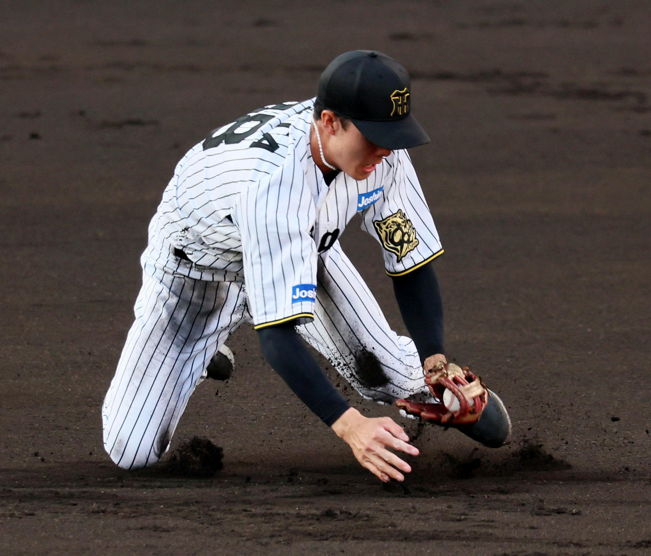 阪神対ソフトバンク　1回表ソフトバンク1死満塁、小幡は栗原の打球を好捕（撮影・加藤哉）