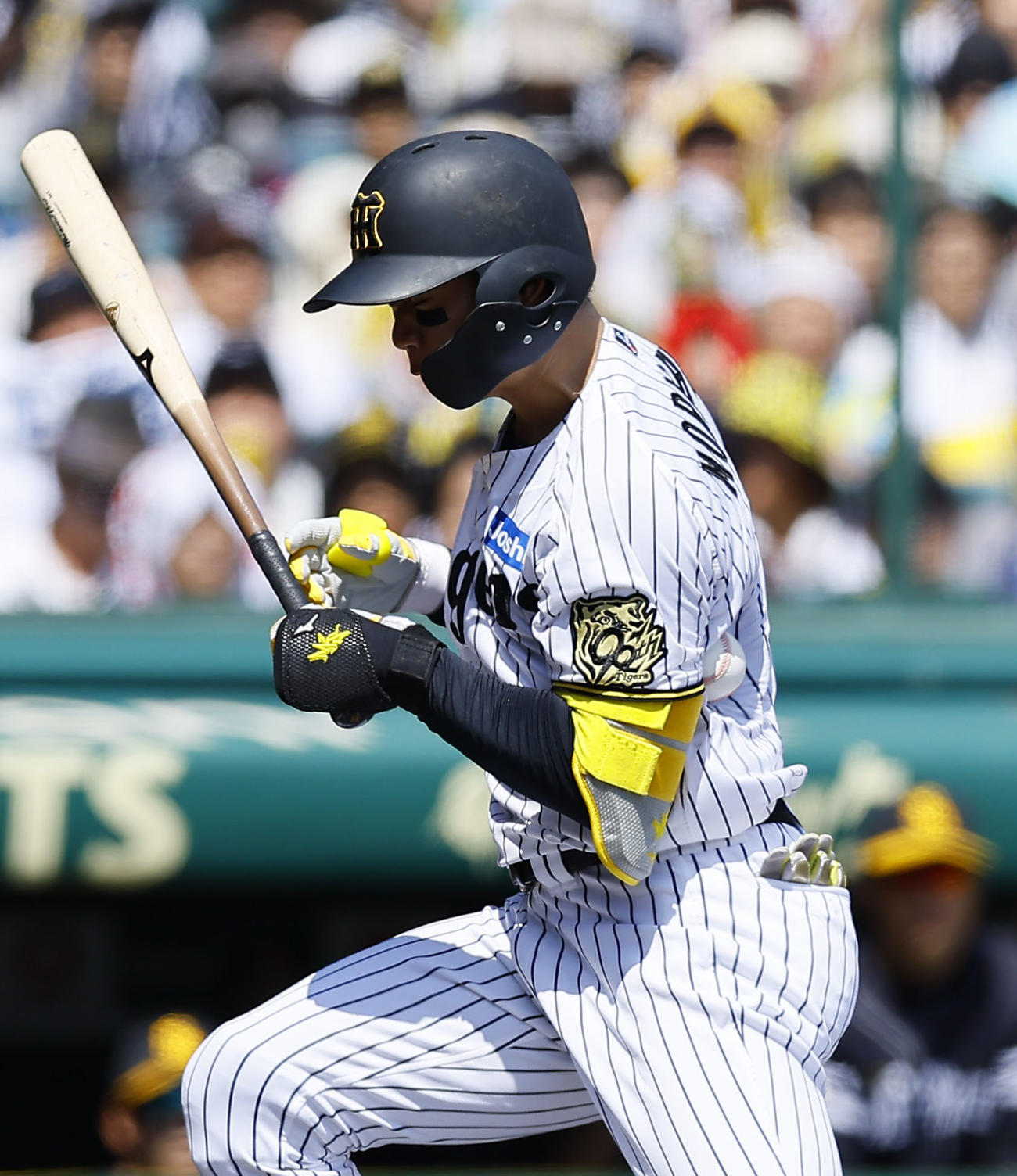 阪神対ソフトバンク　1回裏阪神1死二塁、死球を受ける森下（撮影・藤尾明華）