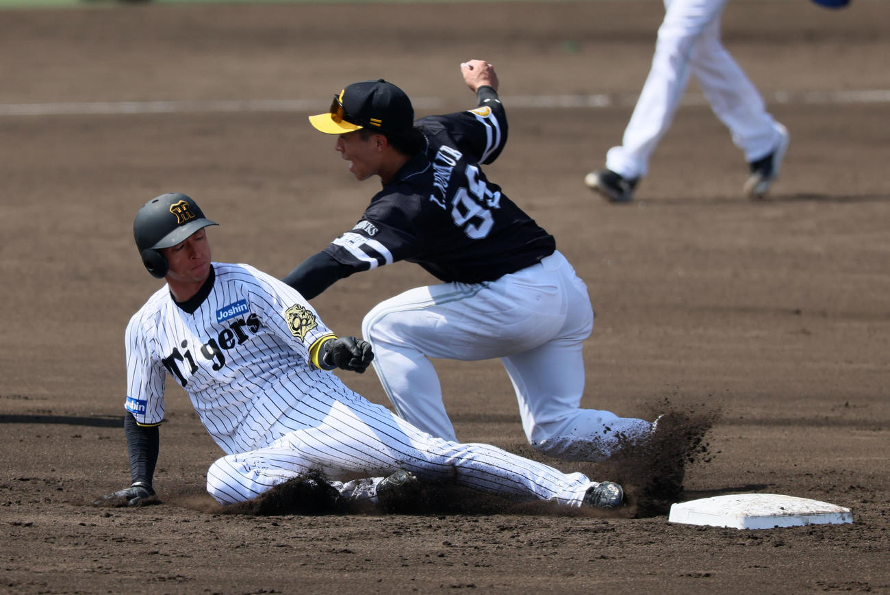 阪神対ソフトバンク　2回裏阪神無死一塁、打者中野の時、一塁走者近本は二塁盗塁失敗。野手野村（撮影・加藤哉）