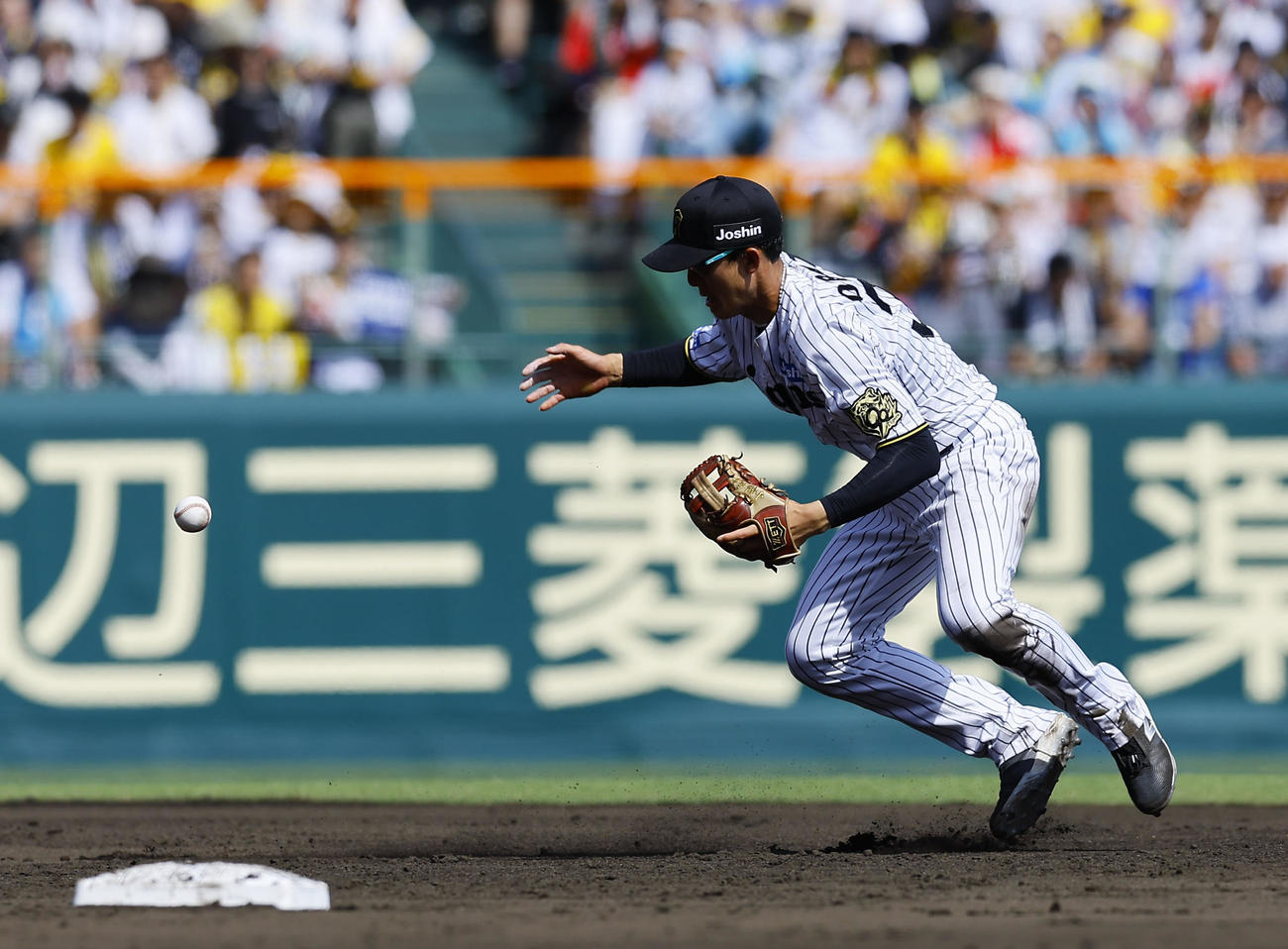 阪神対ソフトバンク　4回表ソフトバンク無死、野村の打球で失策する遊撃手小幡（撮影・藤尾明華）
