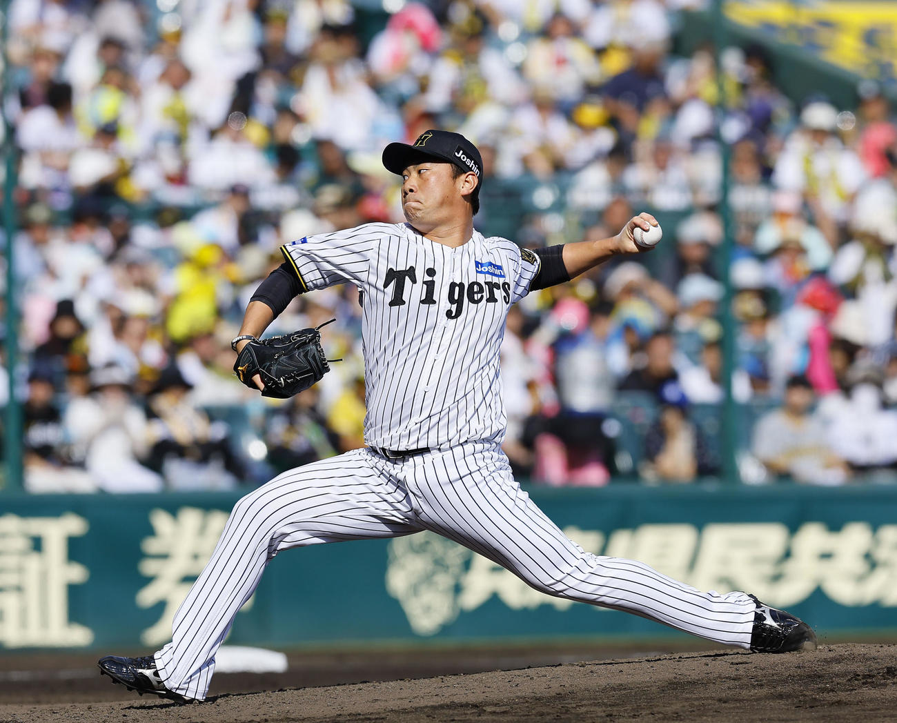 阪神対ソフトバンク　6回表ソフトバンク無死、2番手で登板した阪神桐敷（撮影・藤尾明華）
