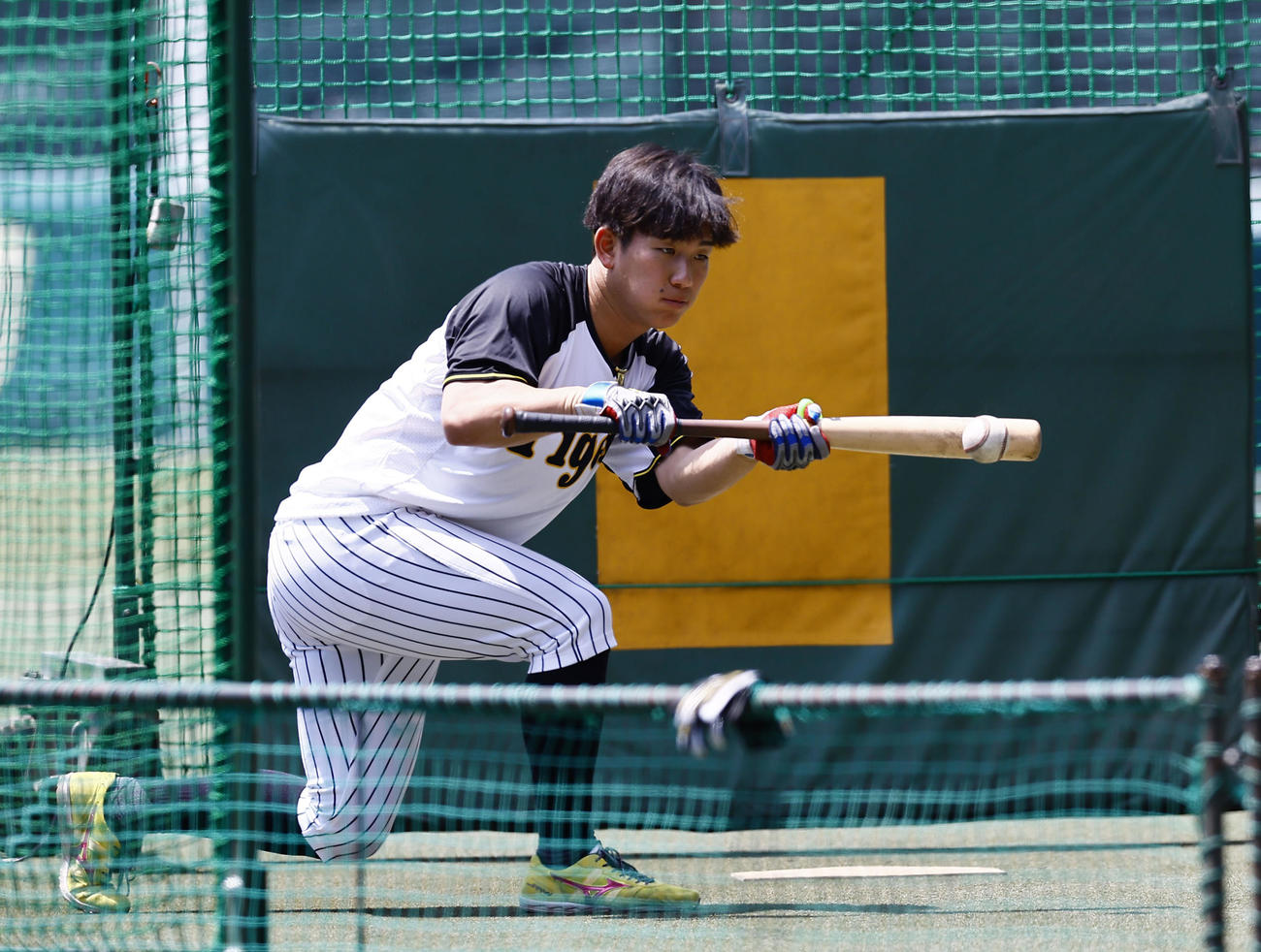 阪神対ソフトバンク　バント練習をする阪神伊原（撮影・藤尾明華）