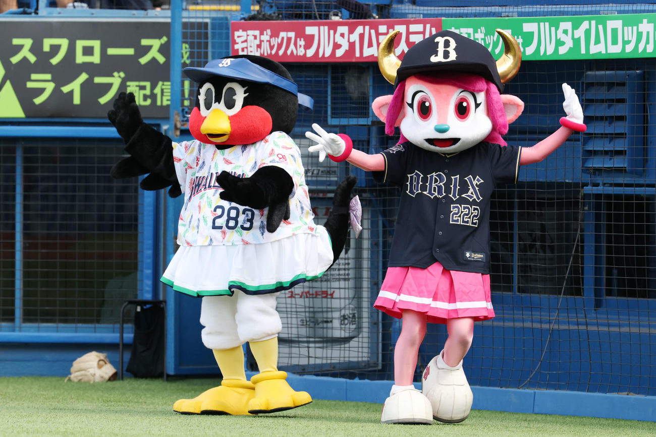 ヤクルト対オリックス　踊るつばみ（左）とバファローベル（撮影・宮地輝）