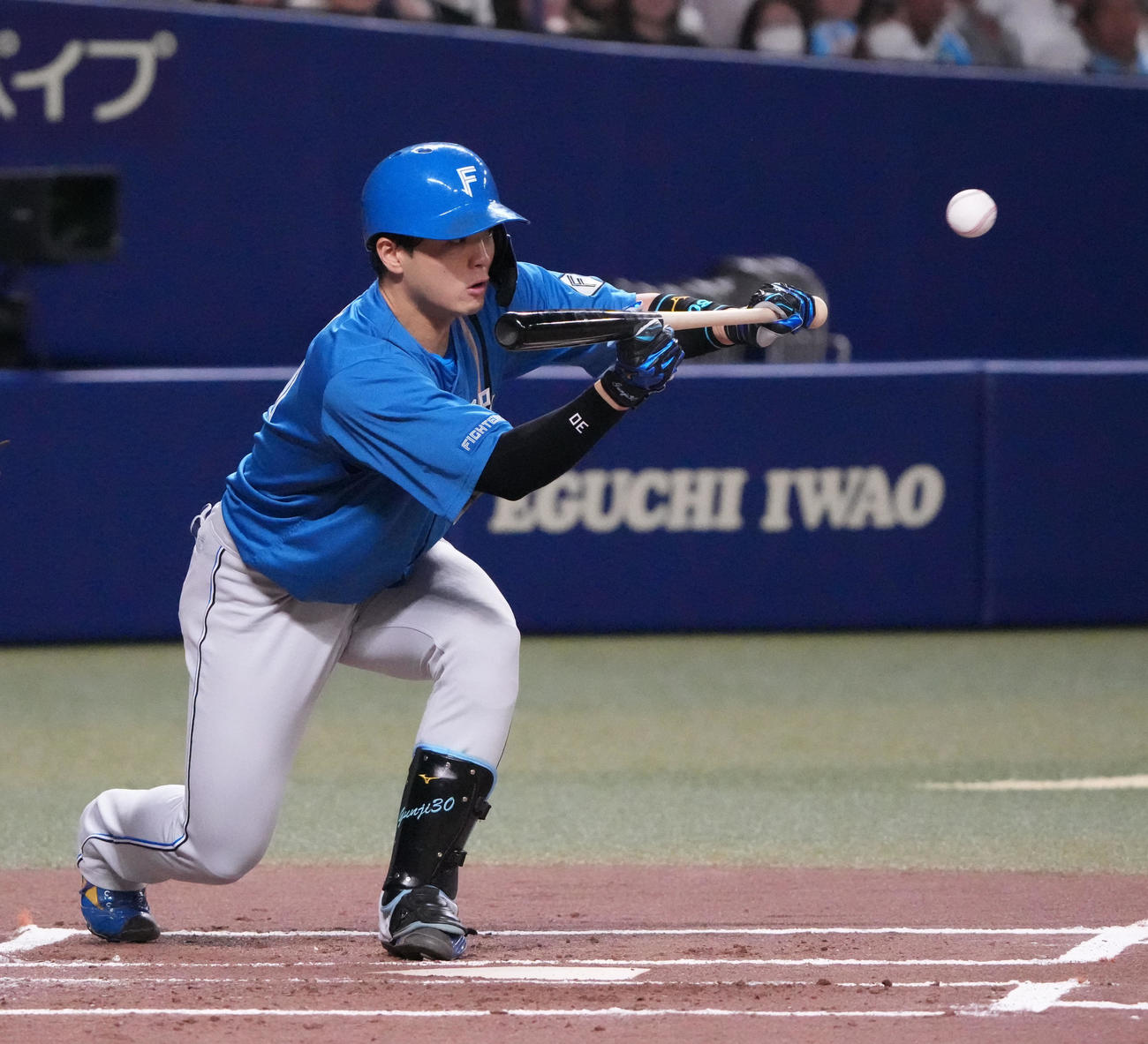 中日対日本ハム　1回表日本ハム1死一、三塁、スクイズを決める郡司（撮影・森本幸一）