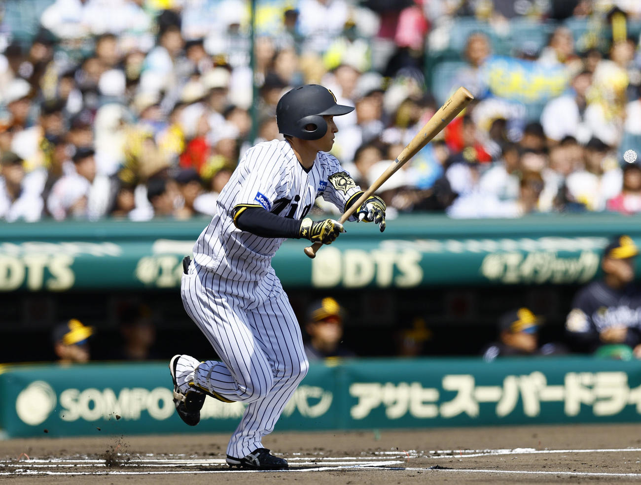 阪神対ソフトバンク　1回裏阪神無死、近本は左前打を放つ（撮影・藤尾明華）