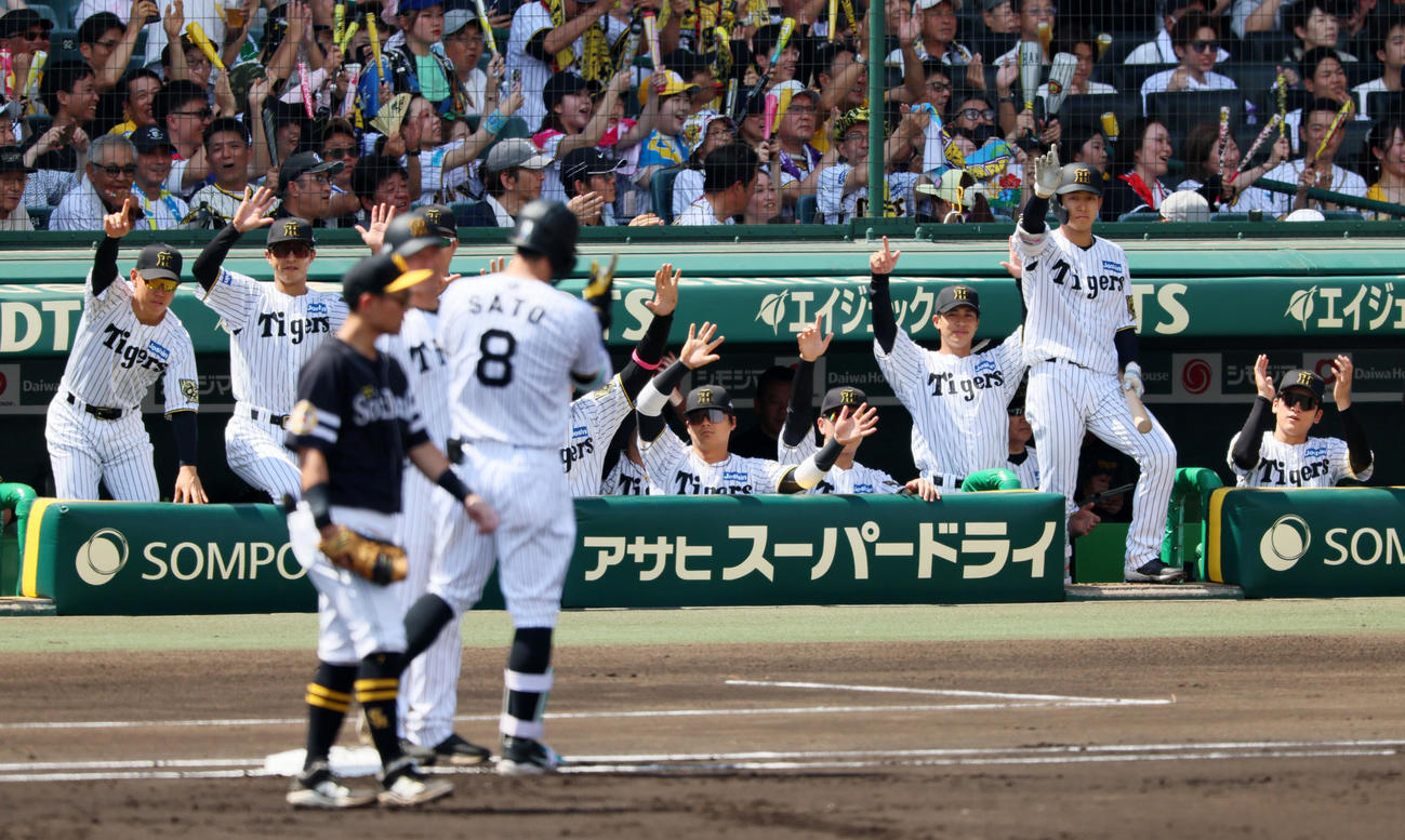 阪神対ソフトバンク　1回裏阪神1死一、二塁、佐藤輝の中前適時打にベンチで盛り上がるナイン（撮影・加藤哉）