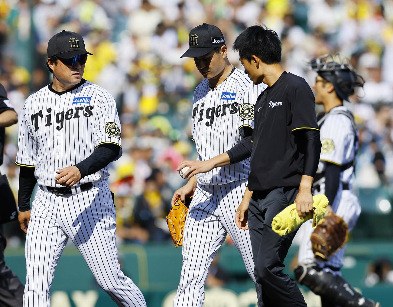 阪神対ソフトバンク　6回表ソフトバンク無死、安藤優也投手チーフコーチ（左）、トレーナーとベンチに戻る大竹耕太郎（中央）。そのまま降板となる（撮影・藤尾明華）
