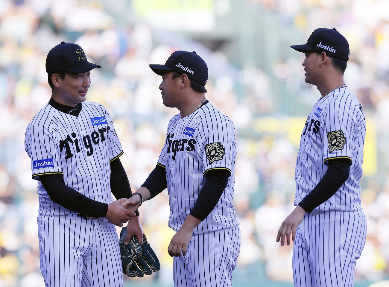阪神対ソフトバンク　ソフトバンクに勝利し、握手を交わす左から阪神岩崎、桐敷、及川（撮影・藤尾明華）