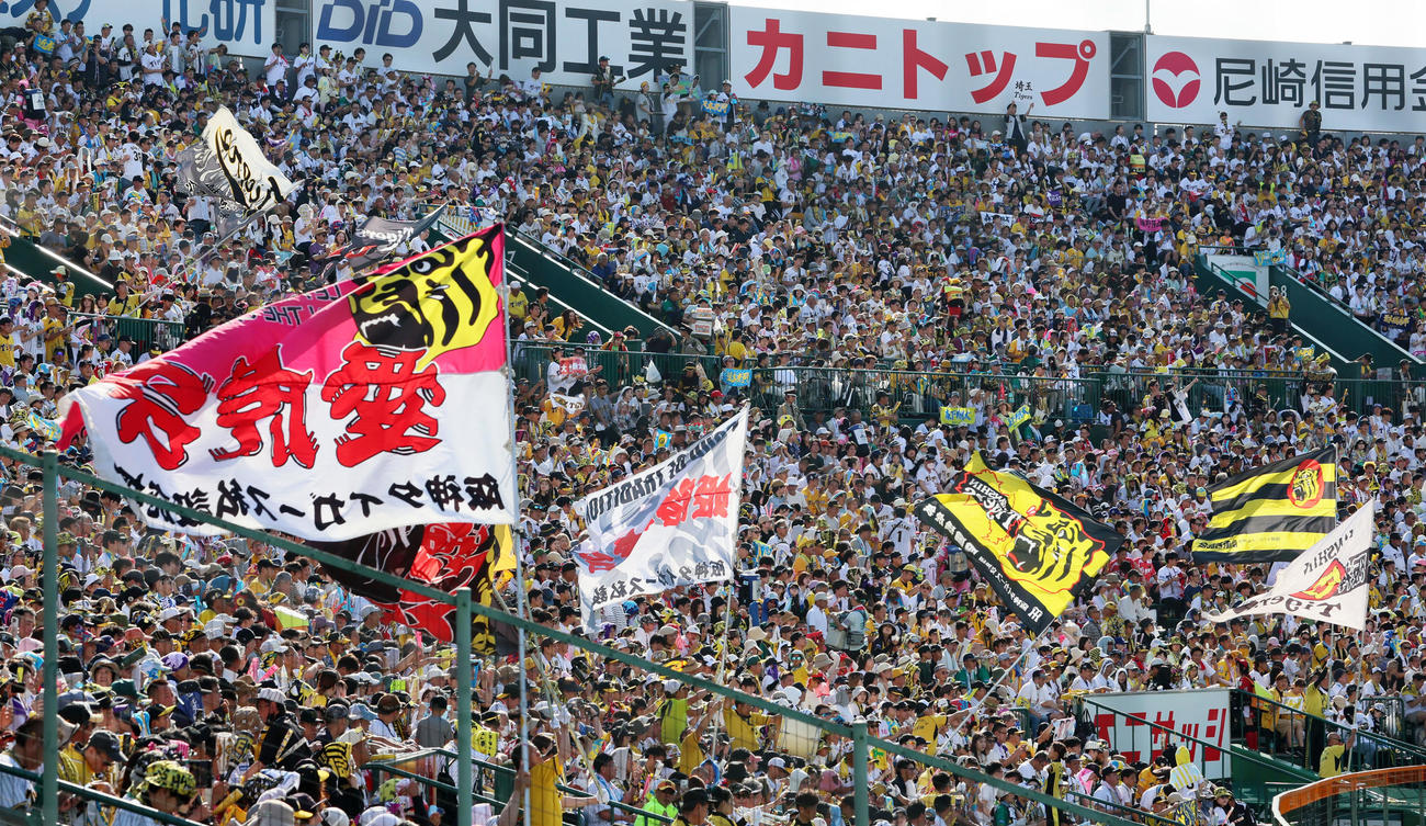 阪神対ソフトバンク　7回裏、声援を送る阪神ファン（撮影・加藤哉）