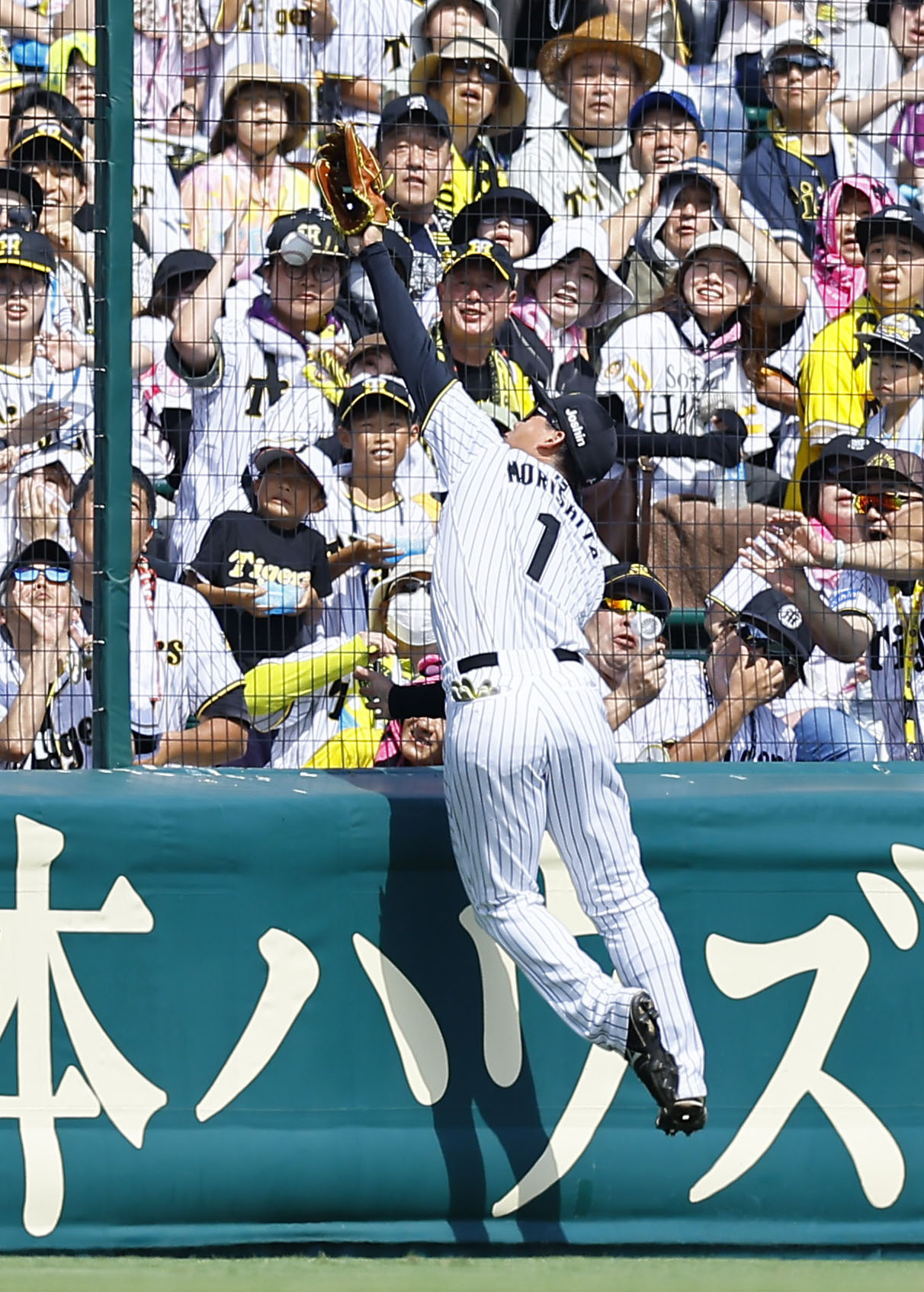 阪神対ソフトバンク　3回表ソフトバンク1死、秋広の飛球に森下がフェンス際でグラブを伸ばすも、捕球できずファウルとなる（撮影・藤尾明華）