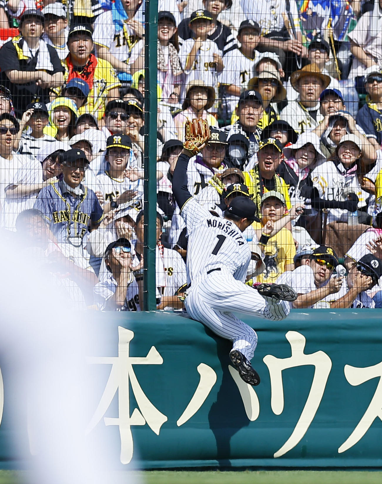 阪神対ソフトバンク　3回表ソフトバンク1死、秋広の飛球に森下がフェンス際でグラブを伸ばすも、捕球できずファウルとなる（撮影・藤尾明華）