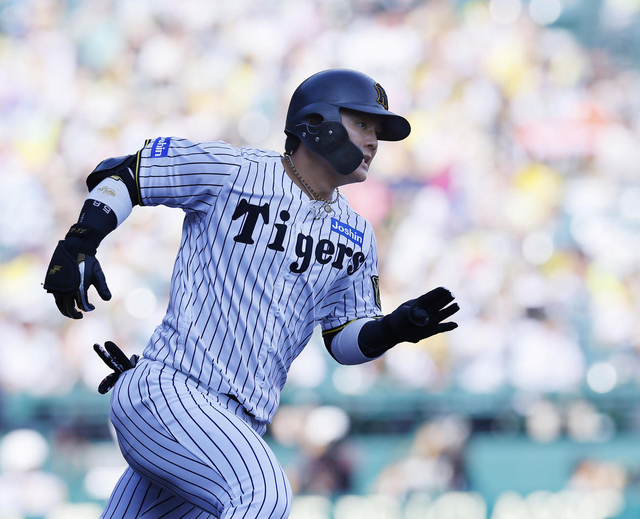 阪神対ソフトバンク　6回裏阪神2死、代打前川は左前打を放ち一塁へ向かう（撮影・藤尾明華）