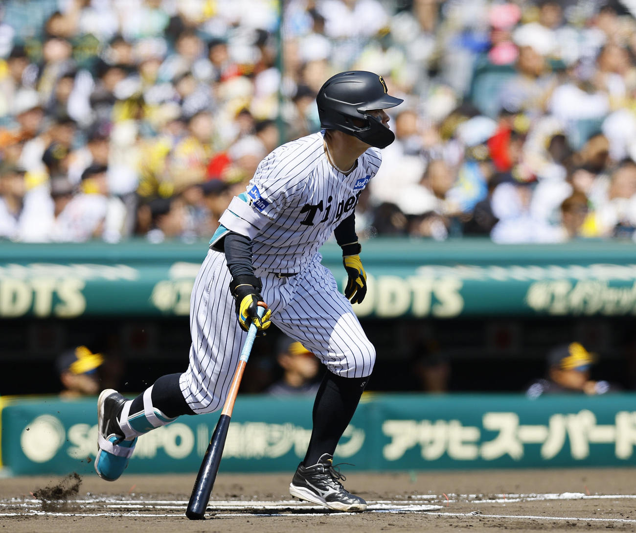 阪神対ソフトバンク　1回裏阪神1死一、二塁、佐藤輝は左前に先制適時打を放つ（撮影・藤尾明華）