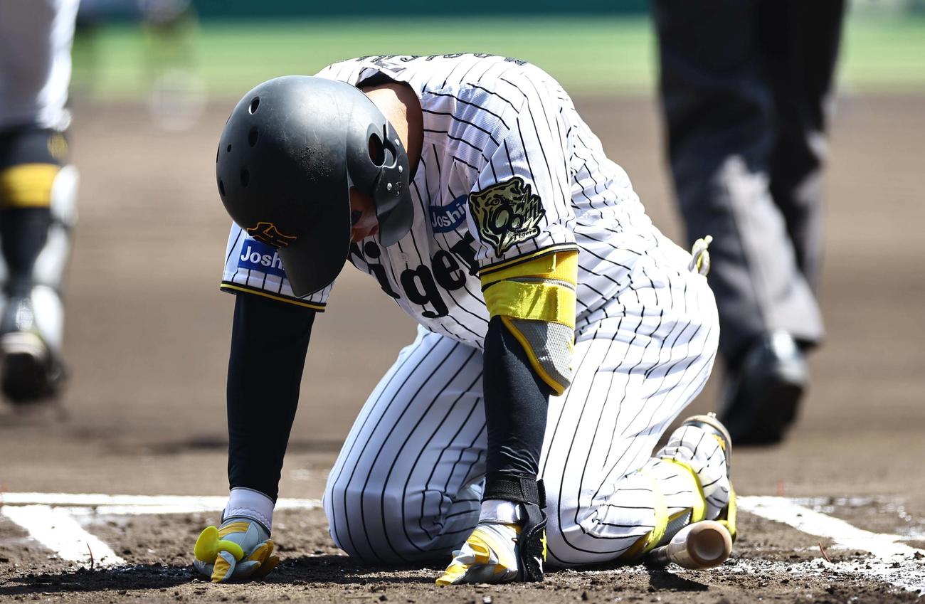 阪神対ソフトバンク　1回裏阪神1死二塁、死球を受ける森下（撮影・上田博志）