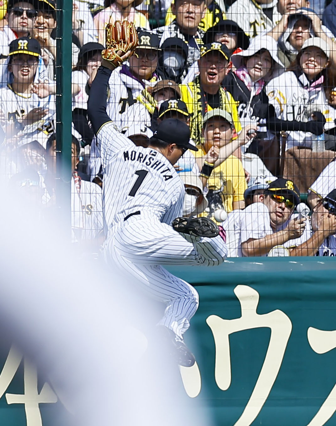 阪神対ソフトバンク　3回表ソフトバンク1死、秋広の飛球に森下がフェンス際でグラブを伸ばすも、捕球できずファウルとなる（撮影・藤尾明華）