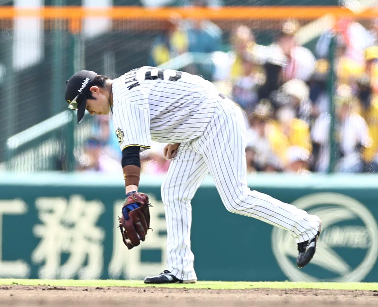 阪神対ソフトバンク　4回表ソフトバンク2死、中野は栗原の打球をエラーする（撮影・上田博志）