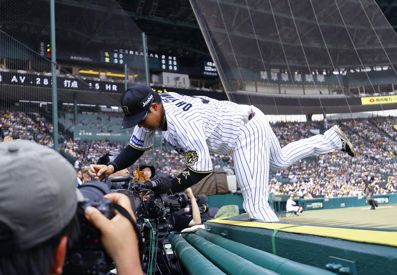 阪神対ソフトバンク　3回表ソフトバンク2死、野村の邪飛を追って、カメラ席に倒れ込む一塁手大山（撮影・藤尾明華）