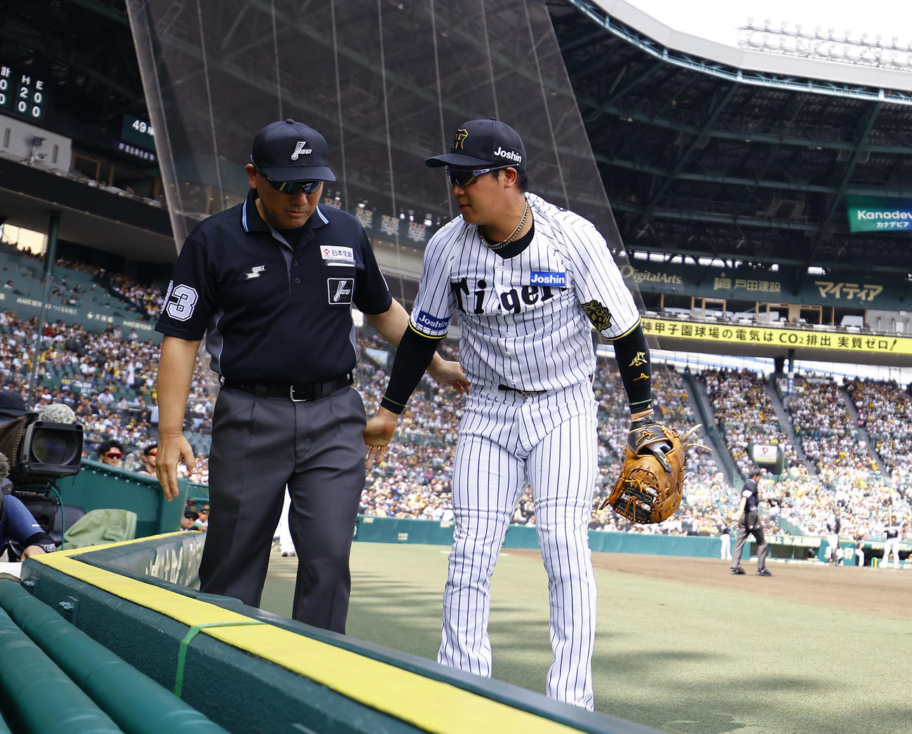 阪神対ソフトバンク　3回表ソフトバンク2死、邪飛を追ってカメラ席に倒れ込み、引き起こしてくれた審判に声をかける大山（撮影・藤尾明華）