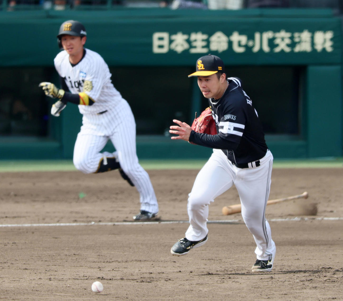 阪神対ソフトバンク　4回裏阪神無死、松本晴は近本の打球を追って一塁に送球する（撮影・加藤哉）
