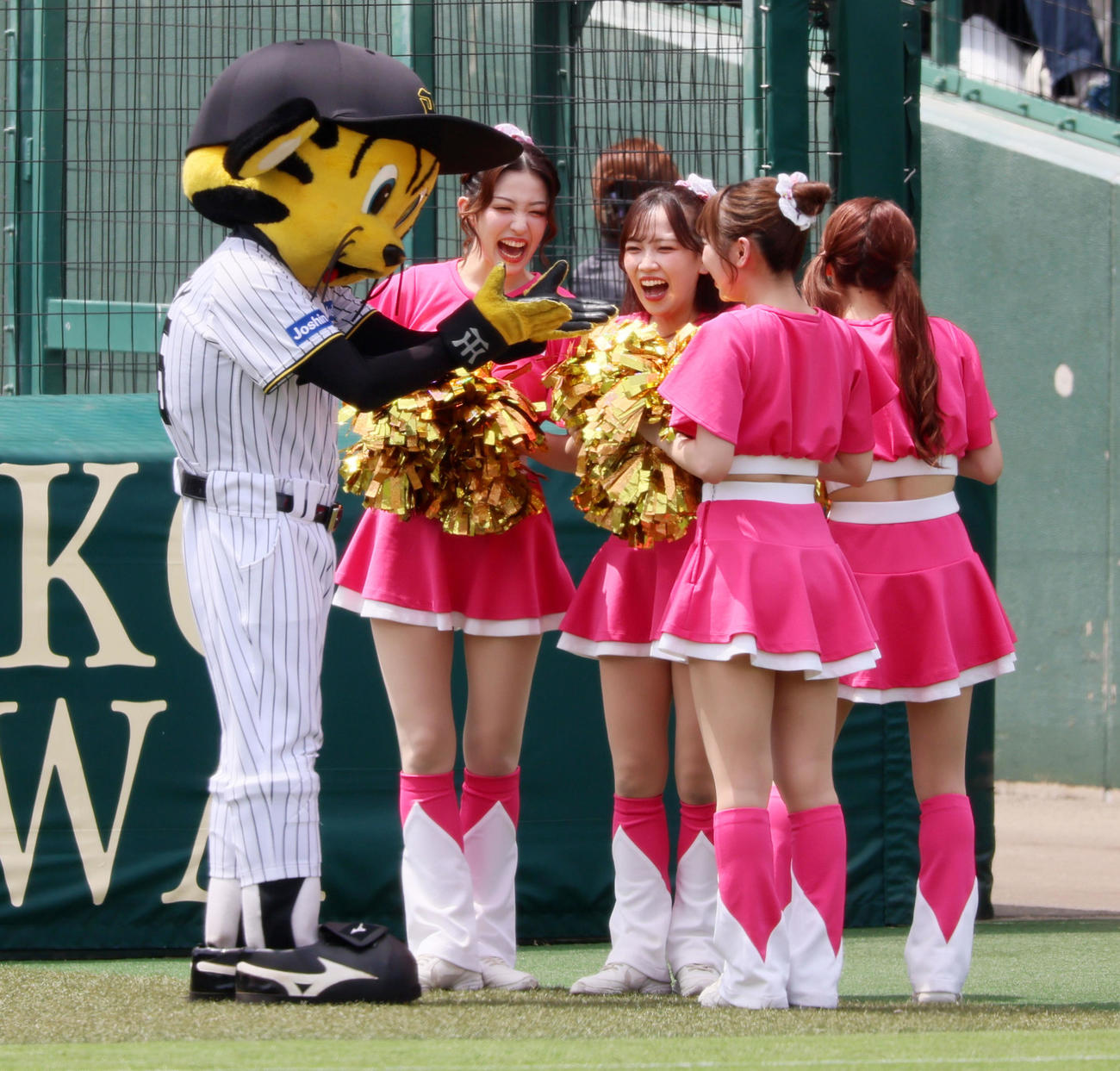 阪神対ソフトバンク　ソフトバンクのダンスパフォーマンスチーム、ハニーズのメンバーにも人気のトラッキー（撮影・加藤哉）