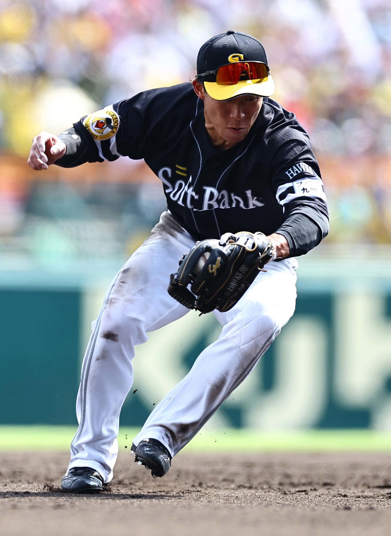 阪神対ソフトバンク　3回裏阪神無死、野村は小幡の遊ゴロを軽快にさばく（撮影・上田博志）