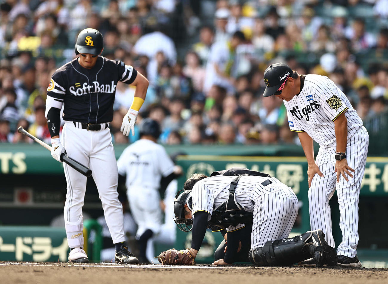 阪神対ソフトバンク　6回表ソフトバンク1死、栗原の打球を体に当て倒れ込む坂本（撮影・上田博志）