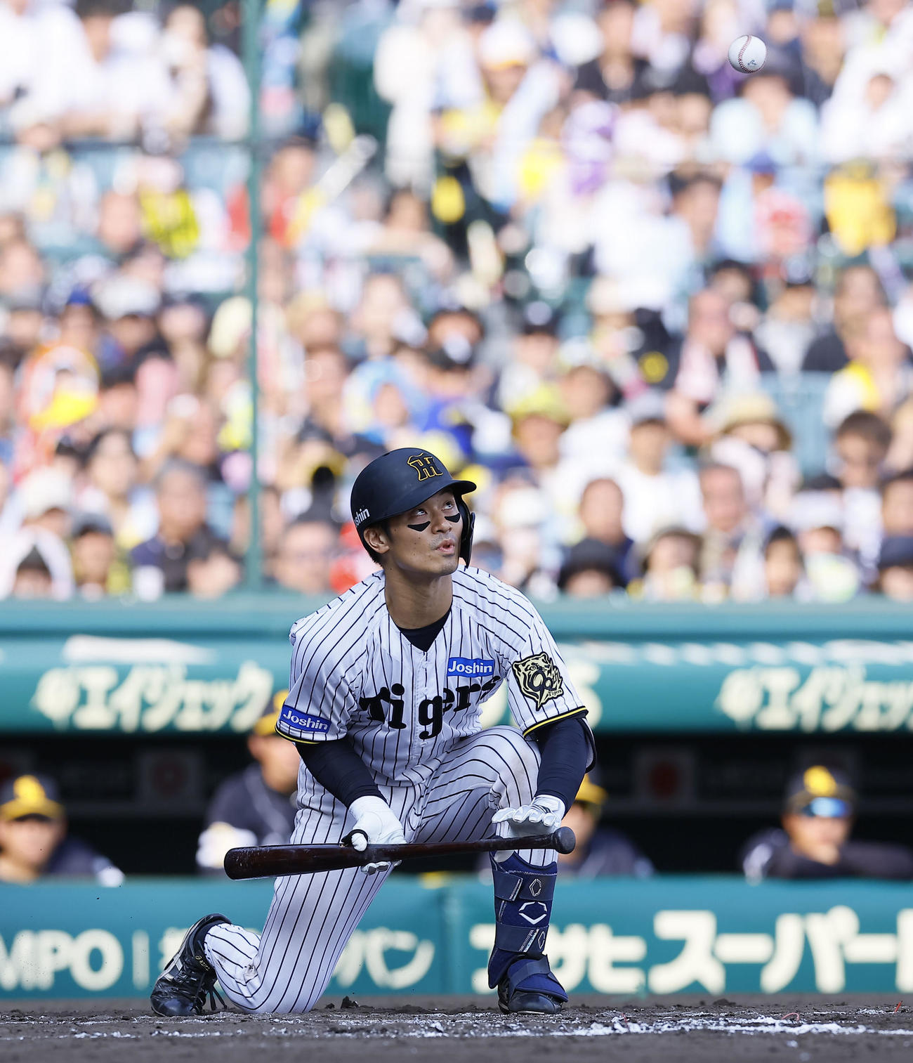 阪神対ソフトバンク　7回裏阪神1死一、三塁、補前犠打を決める坂本（撮影・藤尾明華）
