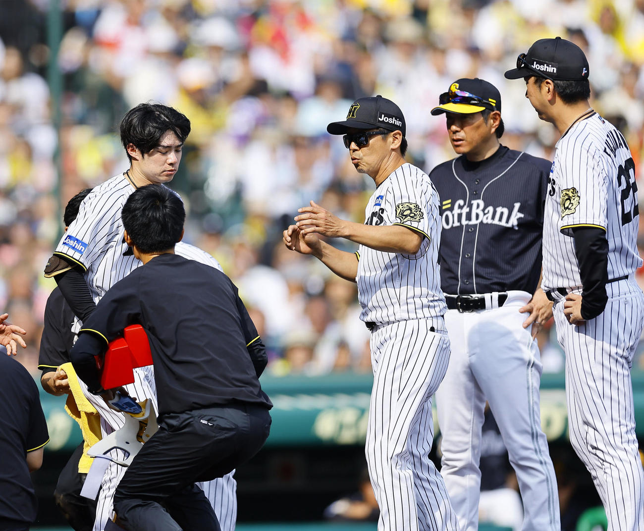 阪神対ソフトバンク　6回裏阪神1死、頭部に死球を受けるも立ち上がる中野。右阪神藤川監督と小久保監督ソフトバンク（撮影・藤尾明華）