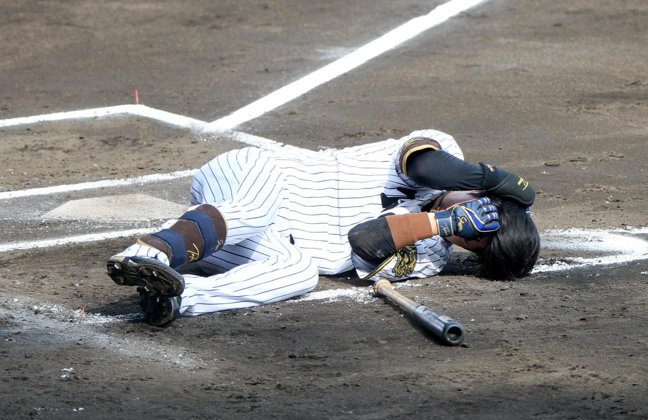 阪神対ソフトバンク　6回裏阪神1死、中野は死球を受け倒れ込む（撮影・上山淳一）