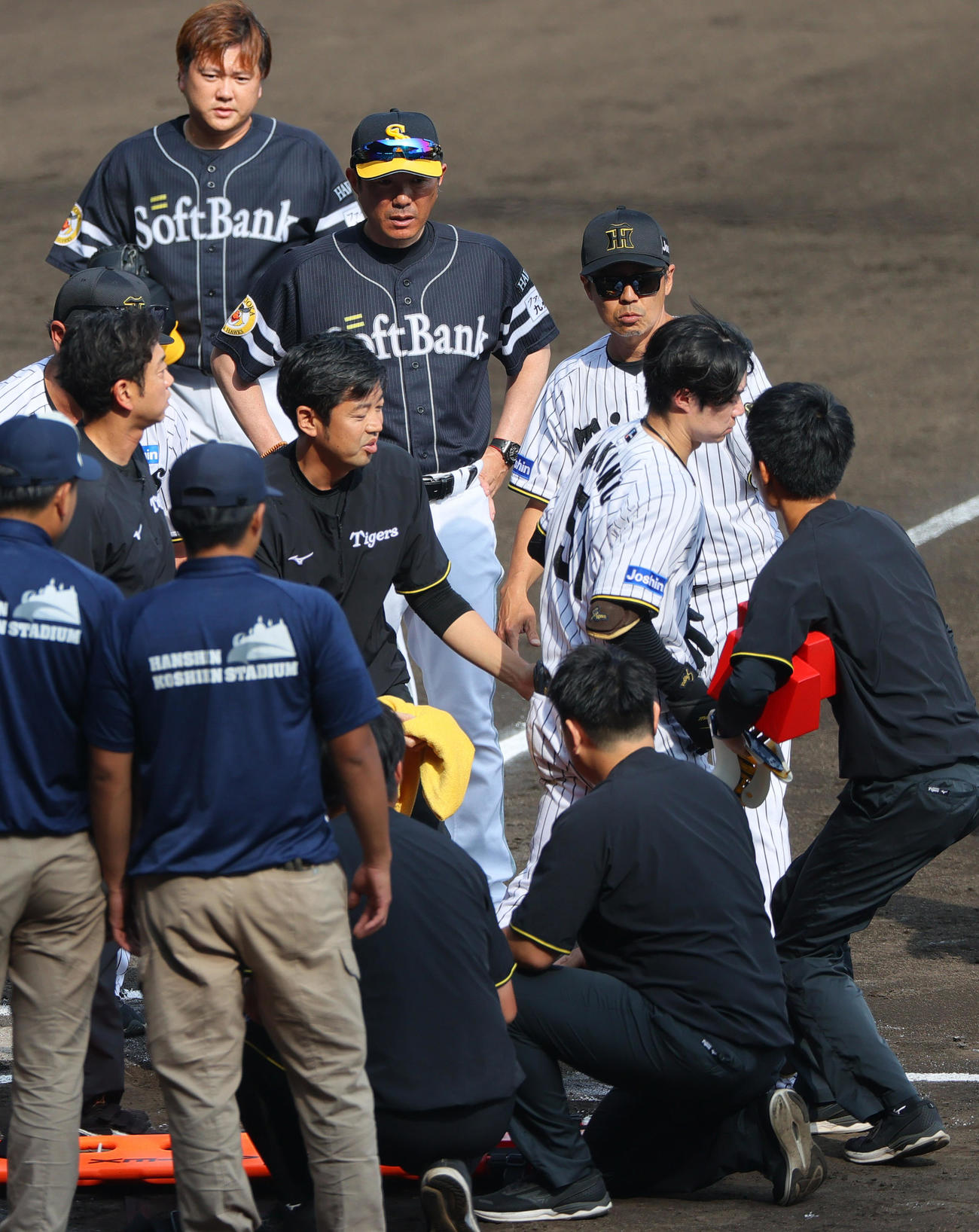 阪神対ソフトバンク　6回裏阪神1死、中野（右から2人目）は死球を受け担架が運び込まれるも自ら立ち上がり一塁へ向かおうとする。左上は投手津森（撮影・上山淳一）