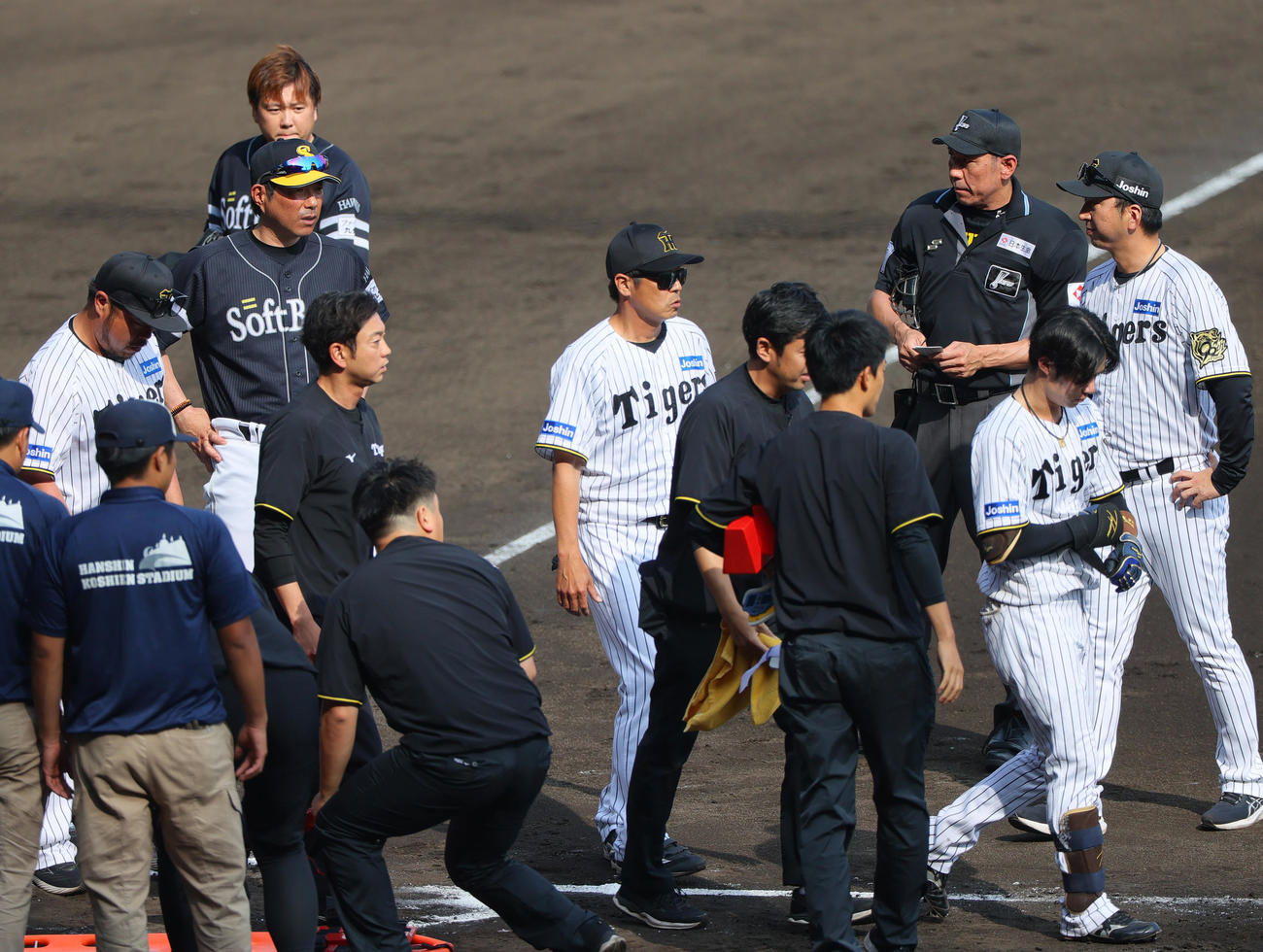 阪神対ソフトバンク　6回裏阪神1死、中野拓夢（右から2人目）は死球を受け担架が運び込まれるも自ら立ち上がり一塁へ向かおうとする。右は阪神藤川監督、左から2人目はソフトバンク小久保監督、左上は投手津森（撮影・上山淳一）