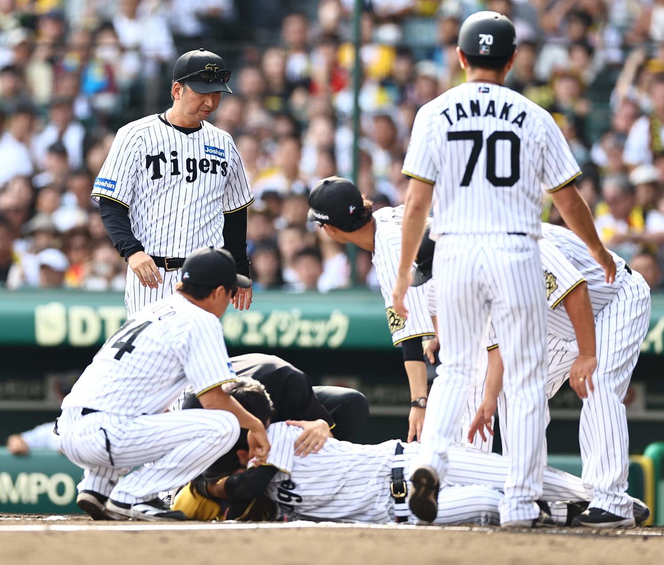 阪神対ソフトバンク　6回裏阪神1死、藤川監督（左奥）は頭部死球を受けた中野を心配そうに見つめる（撮影・上田博志）