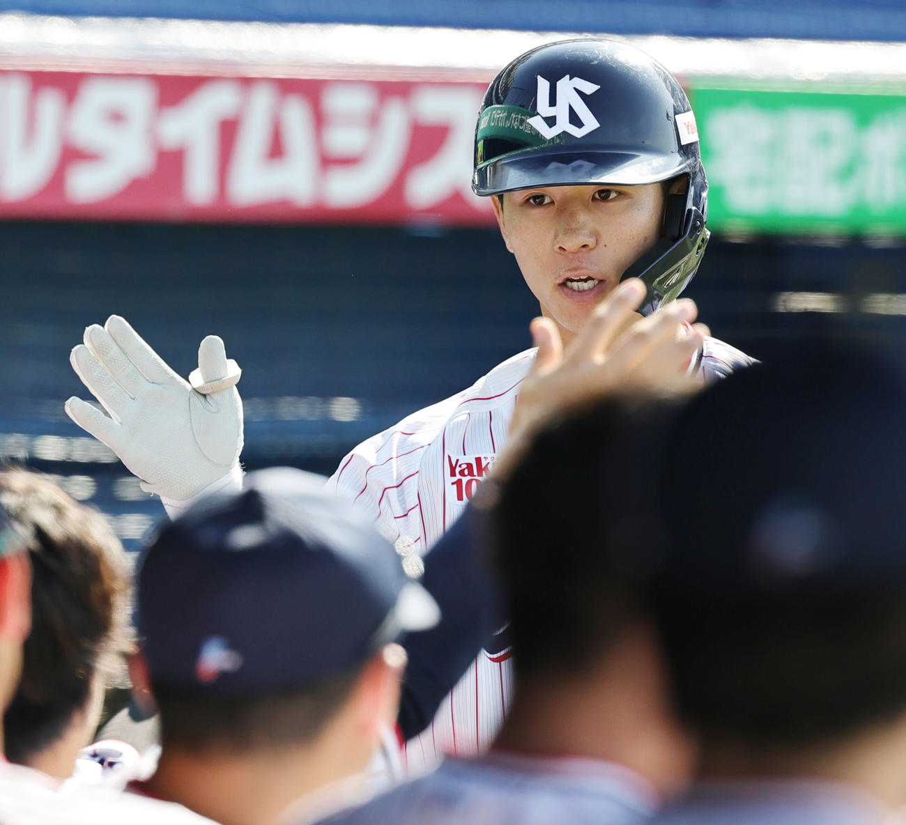 ヤクルト対オリックス　6回裏ヤクルト無死、左越え本塁打を放ちベンチに迎えられる内山（撮影・野上伸悟）