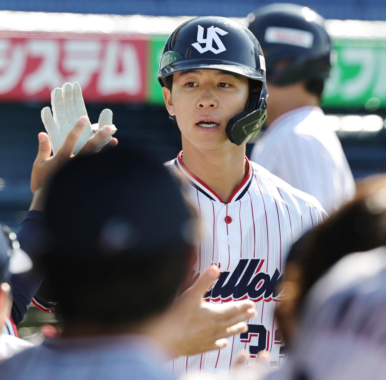 ヤクルト対オリックス　6回裏ヤクルト無死、左越え本塁打を放ちベンチに迎えられる内山（撮影・野上伸悟）