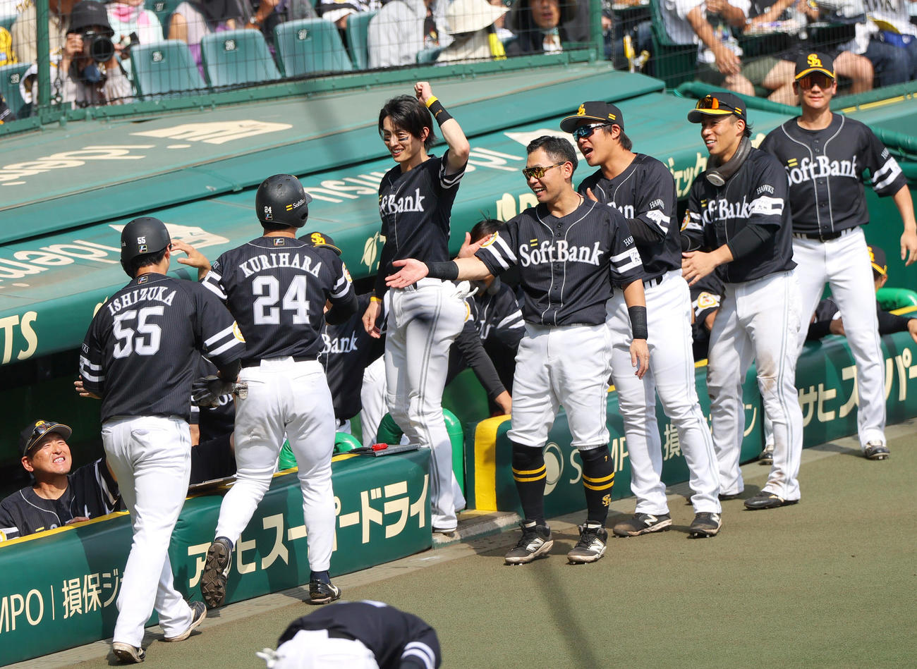 阪神対ソフトバンク　4回裏阪神2死二、三塁、ダウンズの左前適時打で2点が入り盛り上がるソフトバンクナイン（撮影・上山淳一）