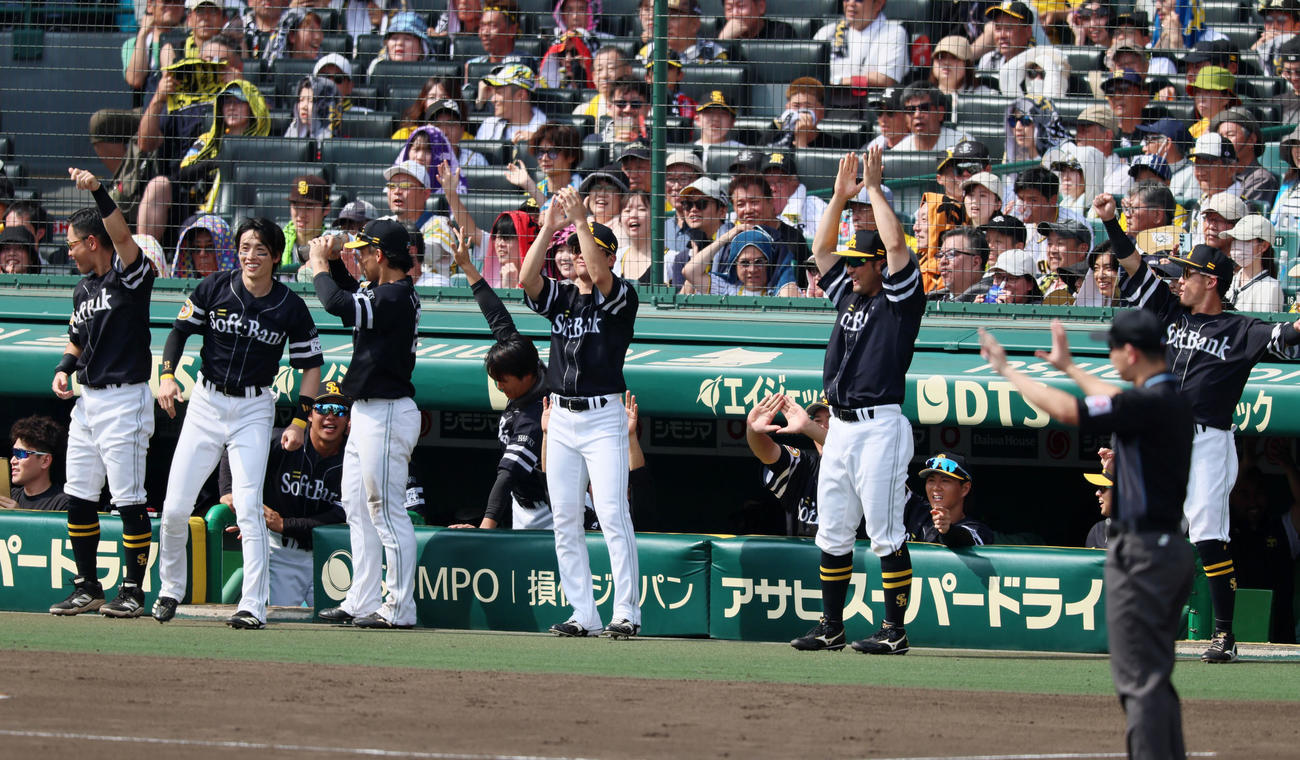 阪神対ソフトバンク　4回表ソフトバンク2死一、二塁、ダウンズの左前2点適時打に喜ぶベンチのナイン（撮影・加藤哉）