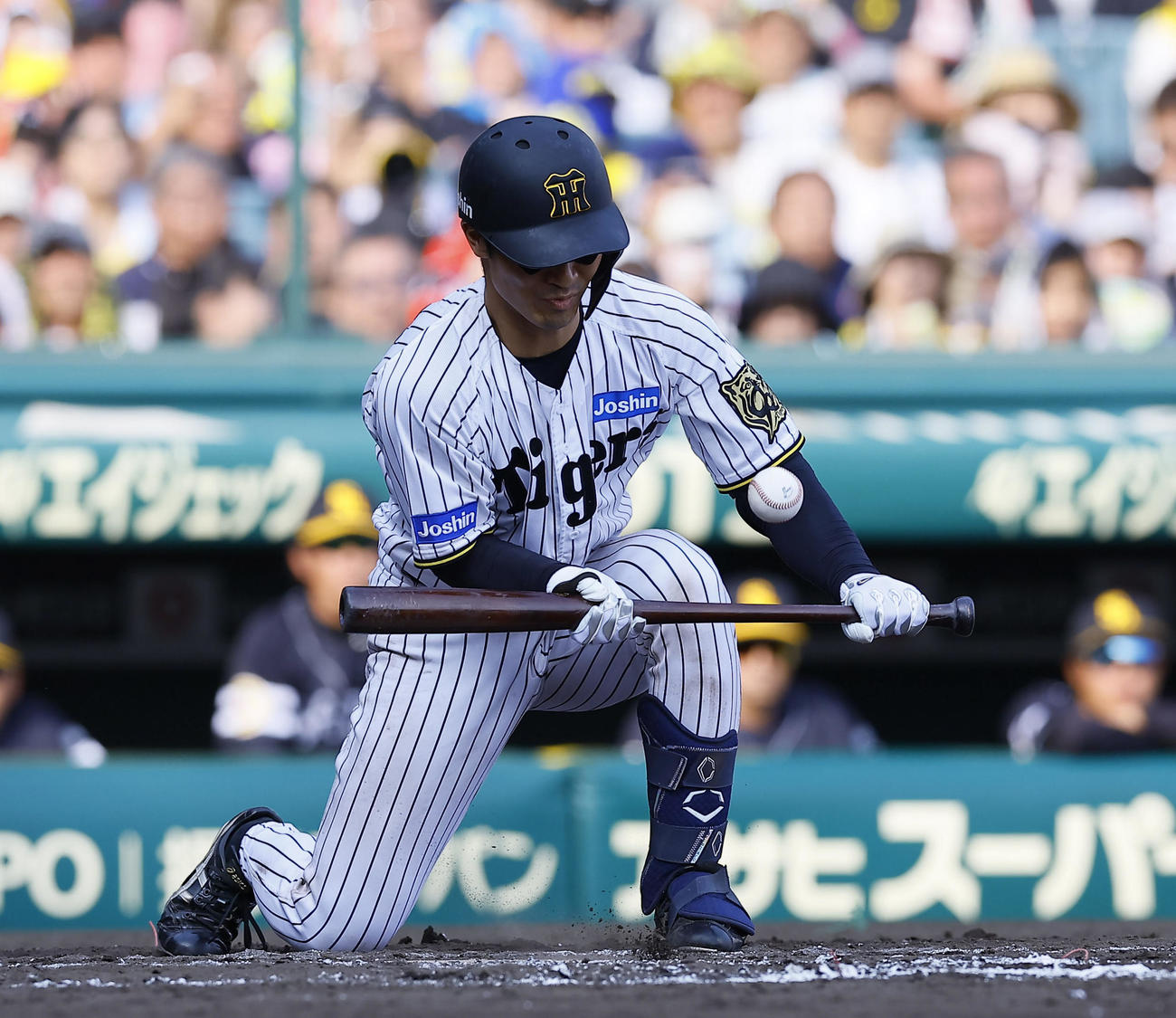阪神対ソフトバンク　7回裏阪神1死一、三塁、補前犠打を決める坂本（撮影・藤尾明華）