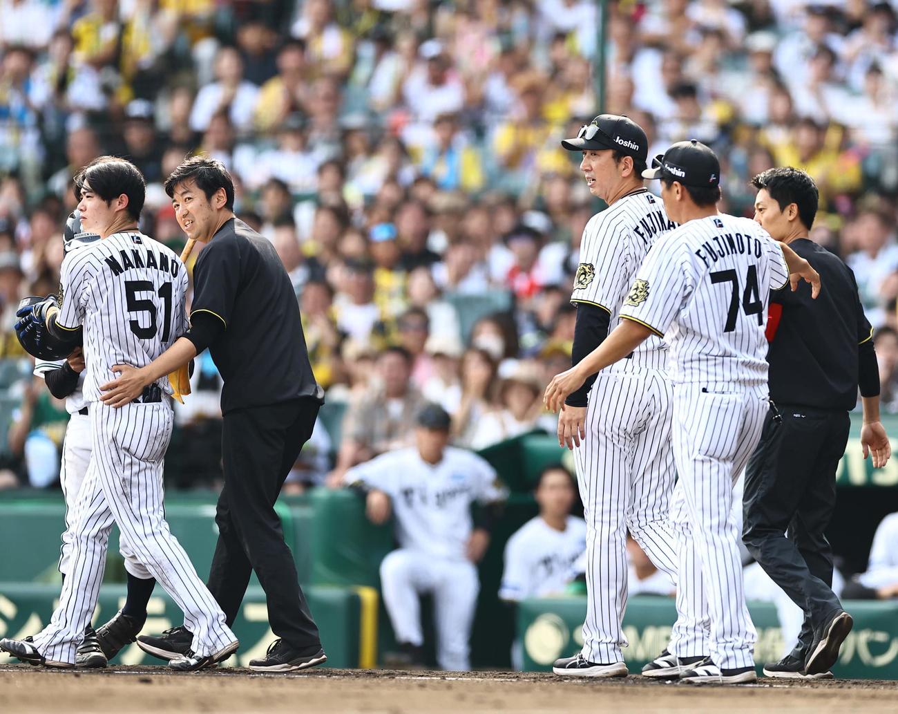 阪神対ソフトバンク　6回裏阪神1死、頭部死球を受けた中野（左）は立ち上がり一塁へ向かおうとする（撮影・上田博志）