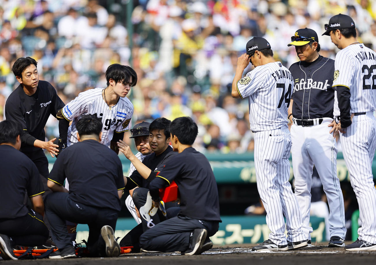 阪神対ソフトバンク　6回裏阪神1死、頭部に死球を受けるも立ち上がる中野。右阪神藤川監督と小久保監督ソフトバンク（撮影・藤尾明華）