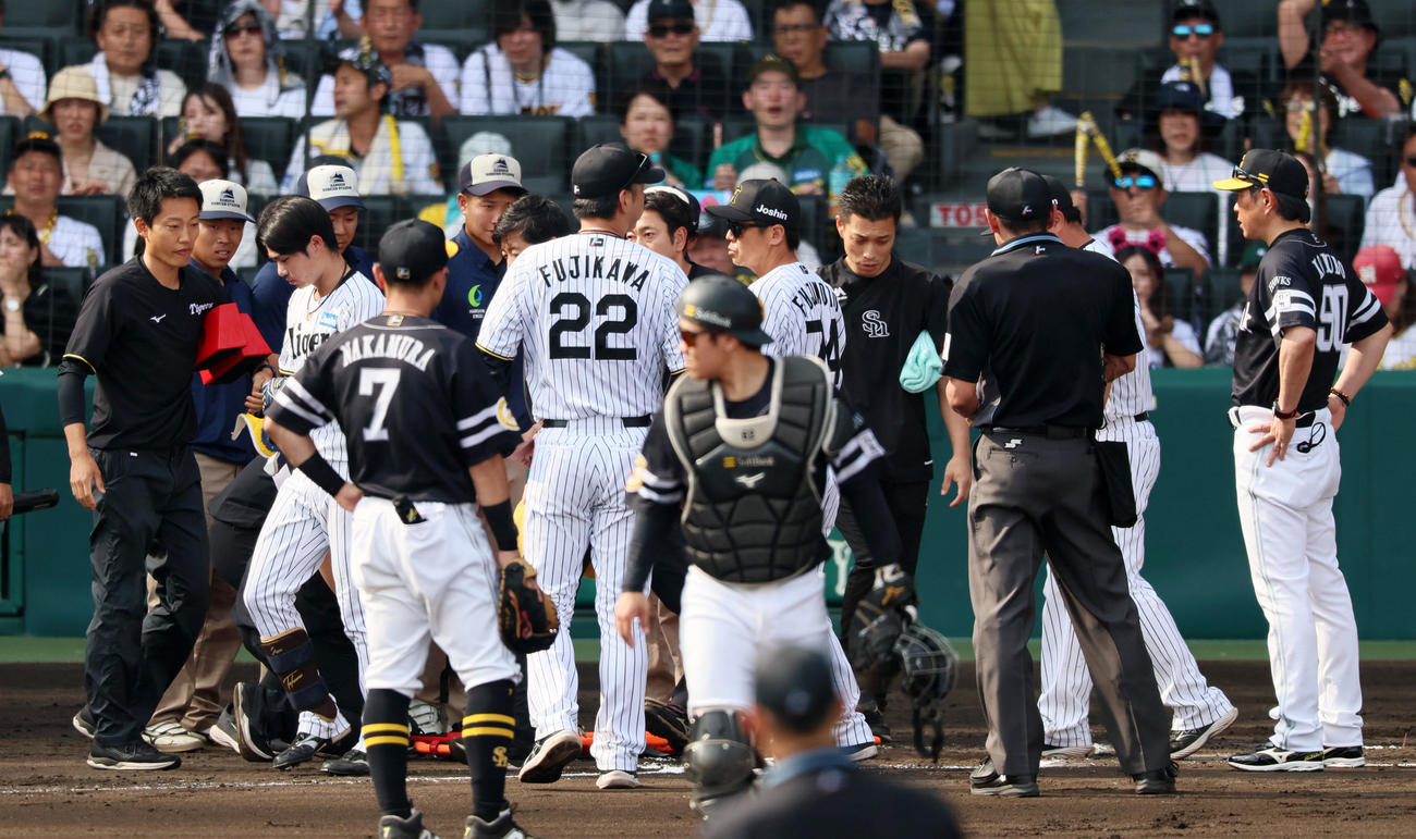 阪神対ソフトバンク　6回裏阪神1死、中野は頭部死球を受け自ら起き上がって歩き出す。中央左は藤川監督、右端はソフトバンク小久保監督（撮影・加藤哉）