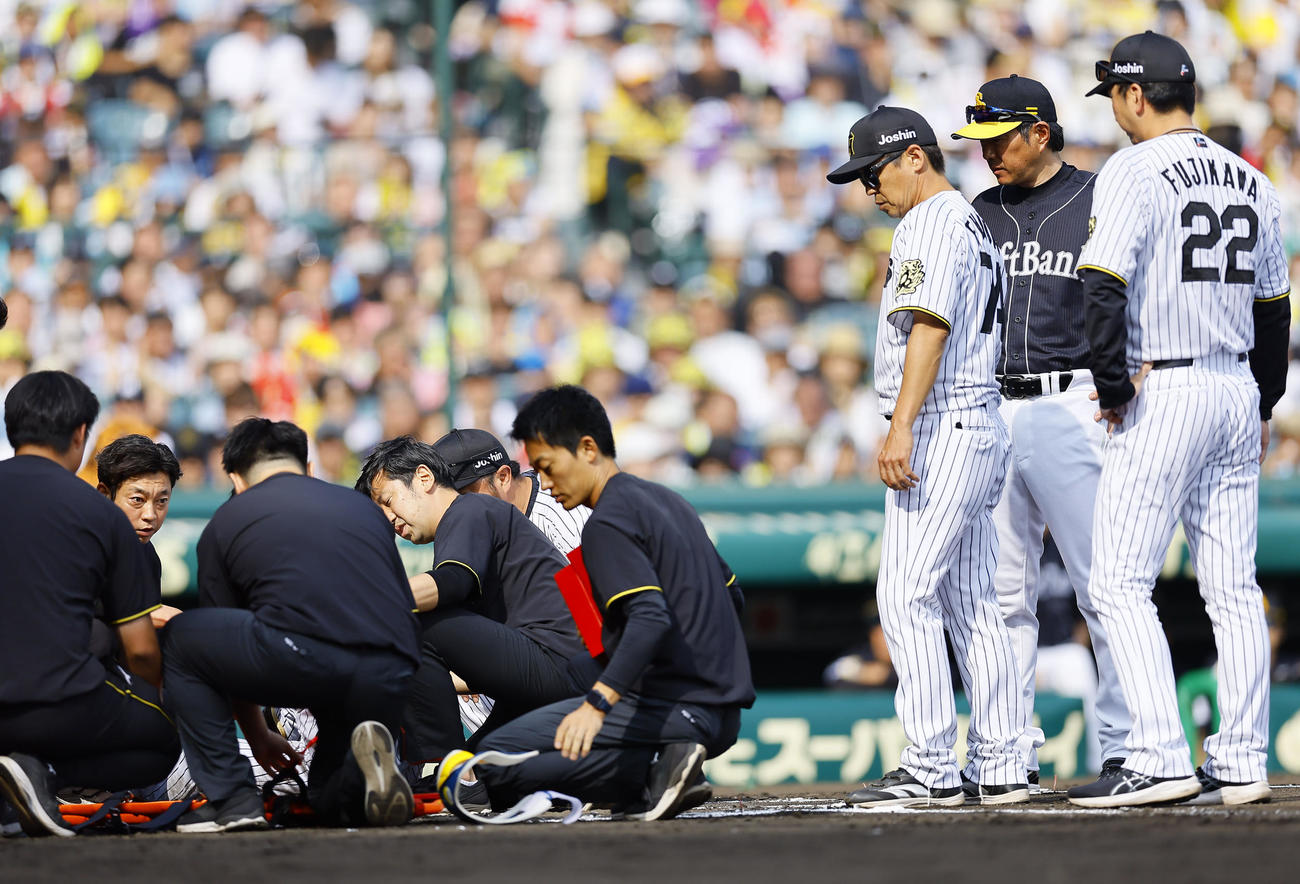 阪神対ソフトバンク　6回裏阪神1死、頭部死球を受けた中野を心配する阪神藤川監督（右端）とソフトバンク小久保監督（撮影・藤尾明華）