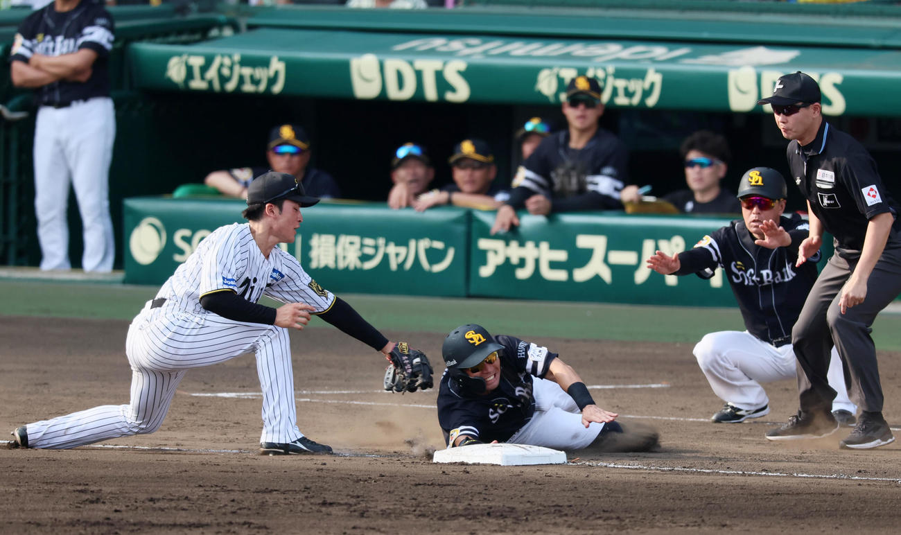 阪神対ソフトバンク　8回表ソフトバンク2死三塁、三塁走者中村は打者栗原のときベースを飛び出し慌てて帰塁しセーフとなる。野手高寺（撮影・加藤哉）