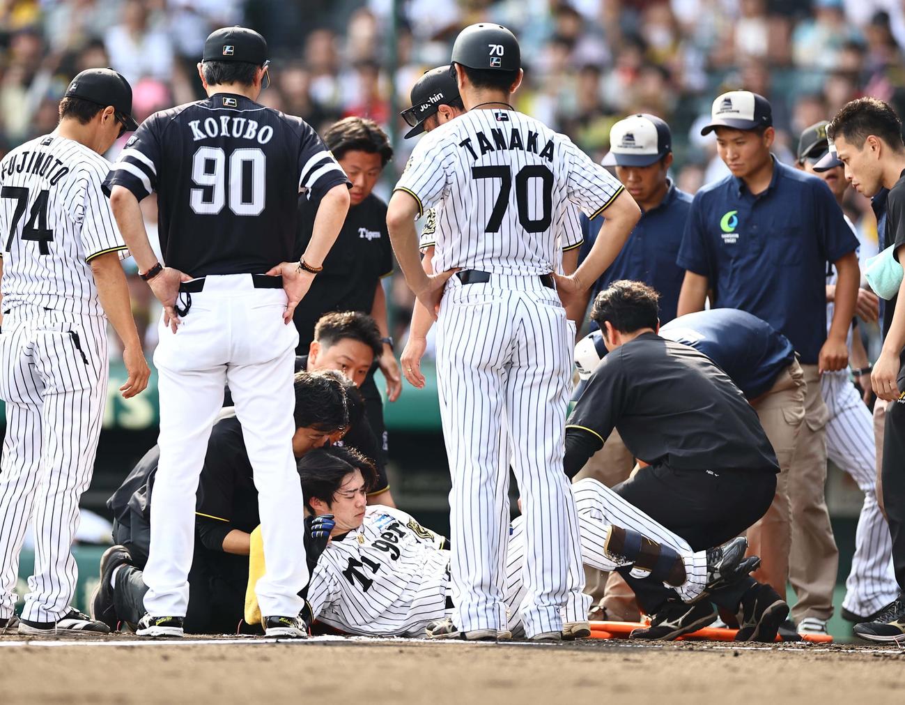 阪神対ソフトバンク　6回裏阪神1死、頭部死球を受けた中野はグラウンドに倒れ込む（撮影・上田博志）