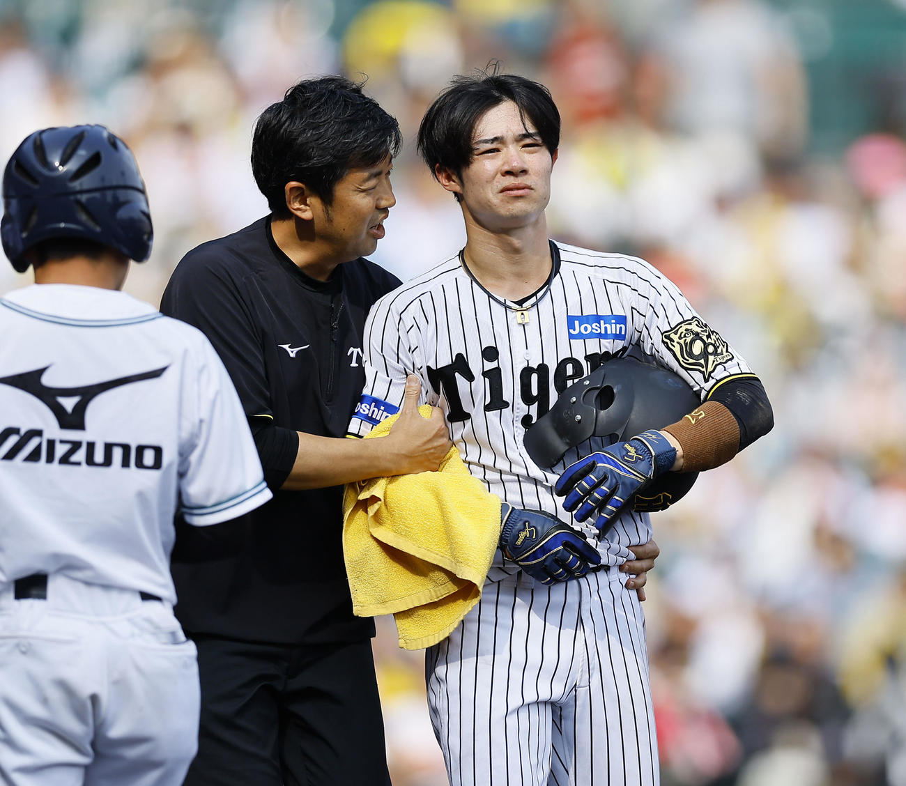 阪神対ソフトバンク　6回裏阪神1死、頭部に死球を受けるも立ち上がり歩き出す中野（撮影・藤尾明華）