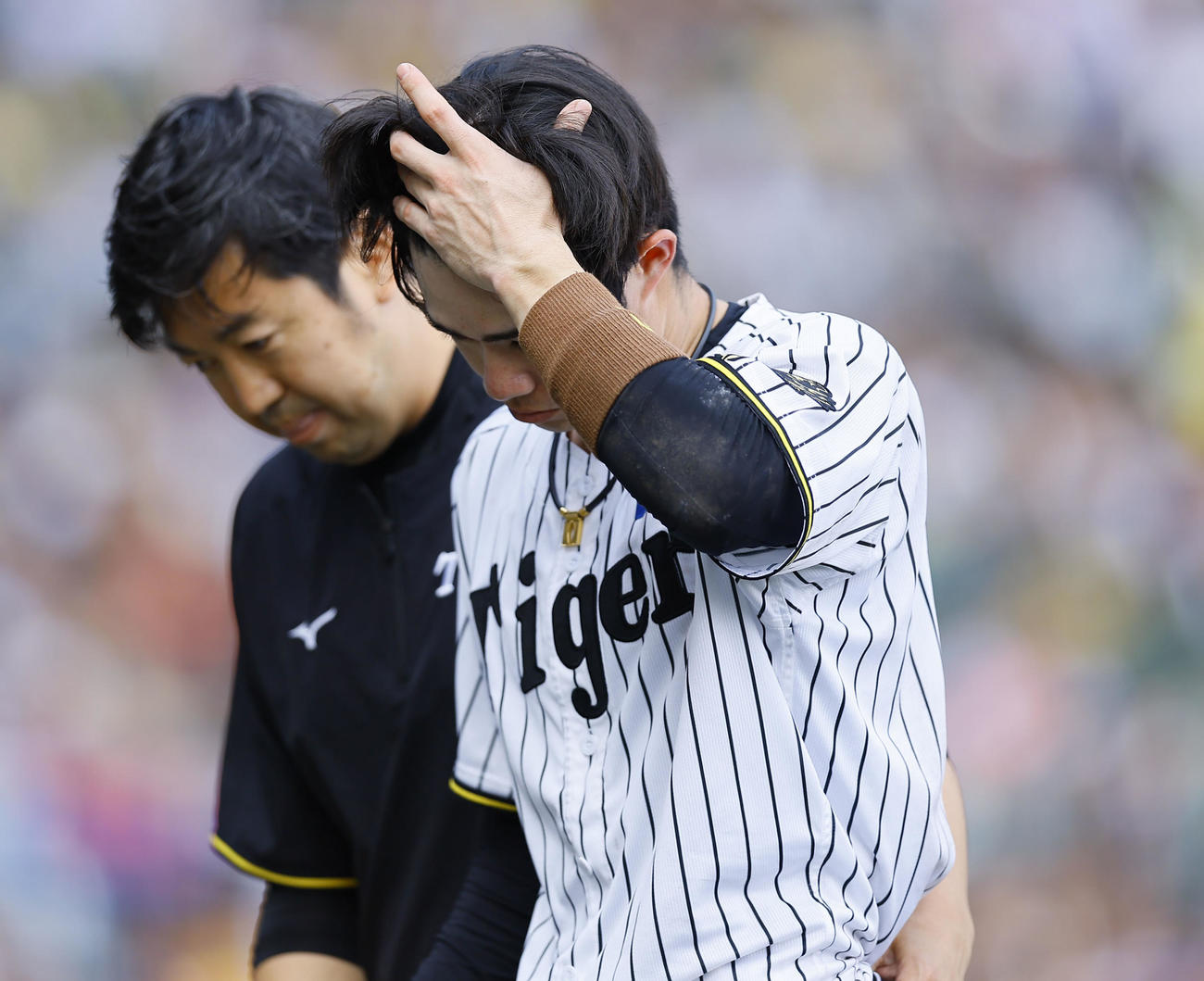 阪神対ソフトバンク　6回裏阪神1死、頭部に死球を受けるも立ち上がり、自力でベンチに下がる中野（撮影・藤尾明華）